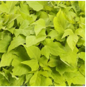 Снимок экрана 2025-10-22 163659